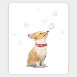 Corgi with Bubbles Watercolour Painting Magnet